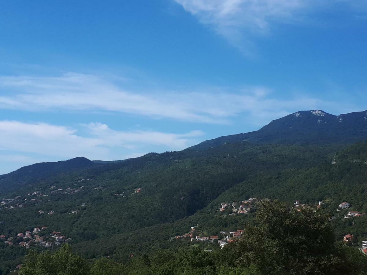 Apartment Korić Opatija Bagian luar foto
